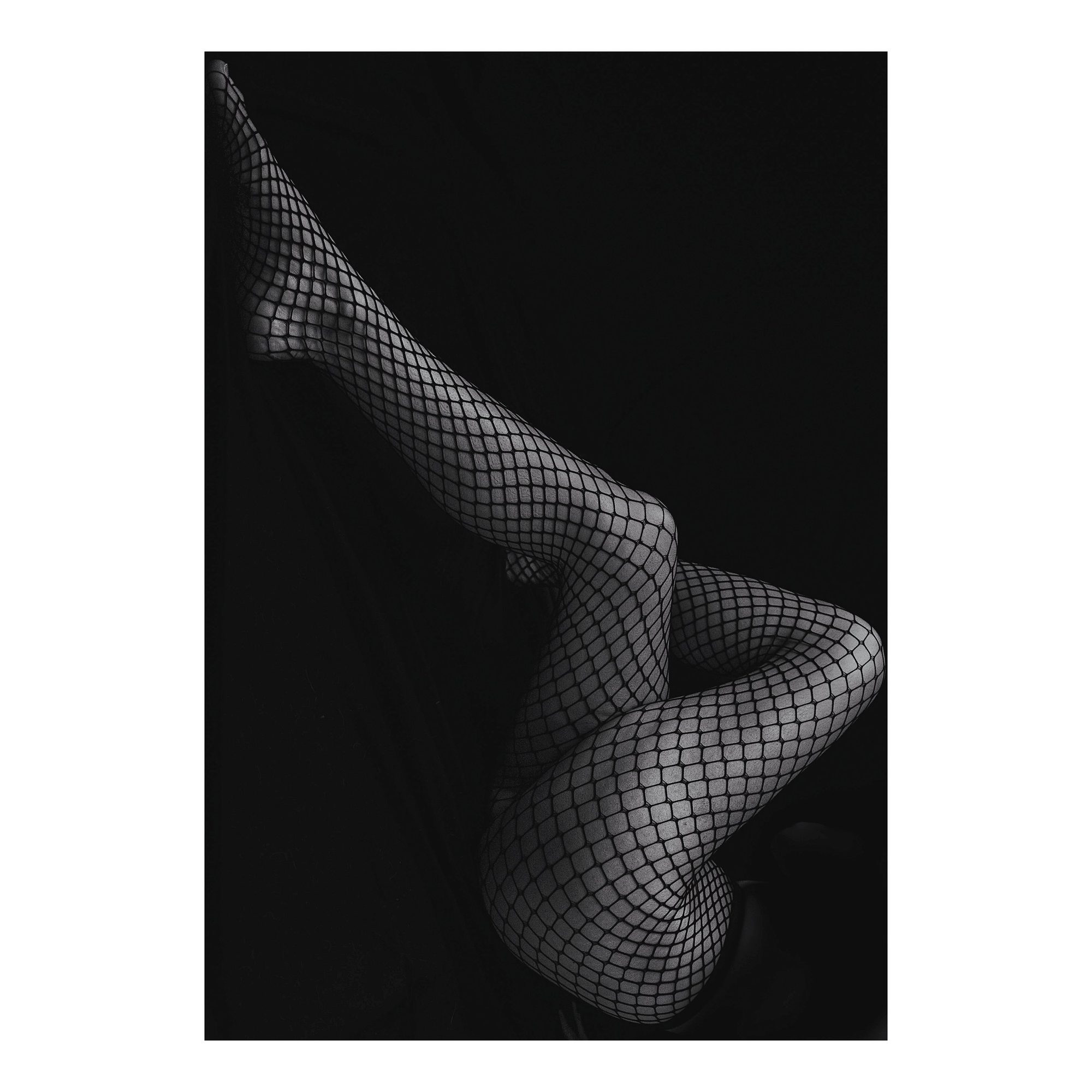 Figure Study, Fishnet