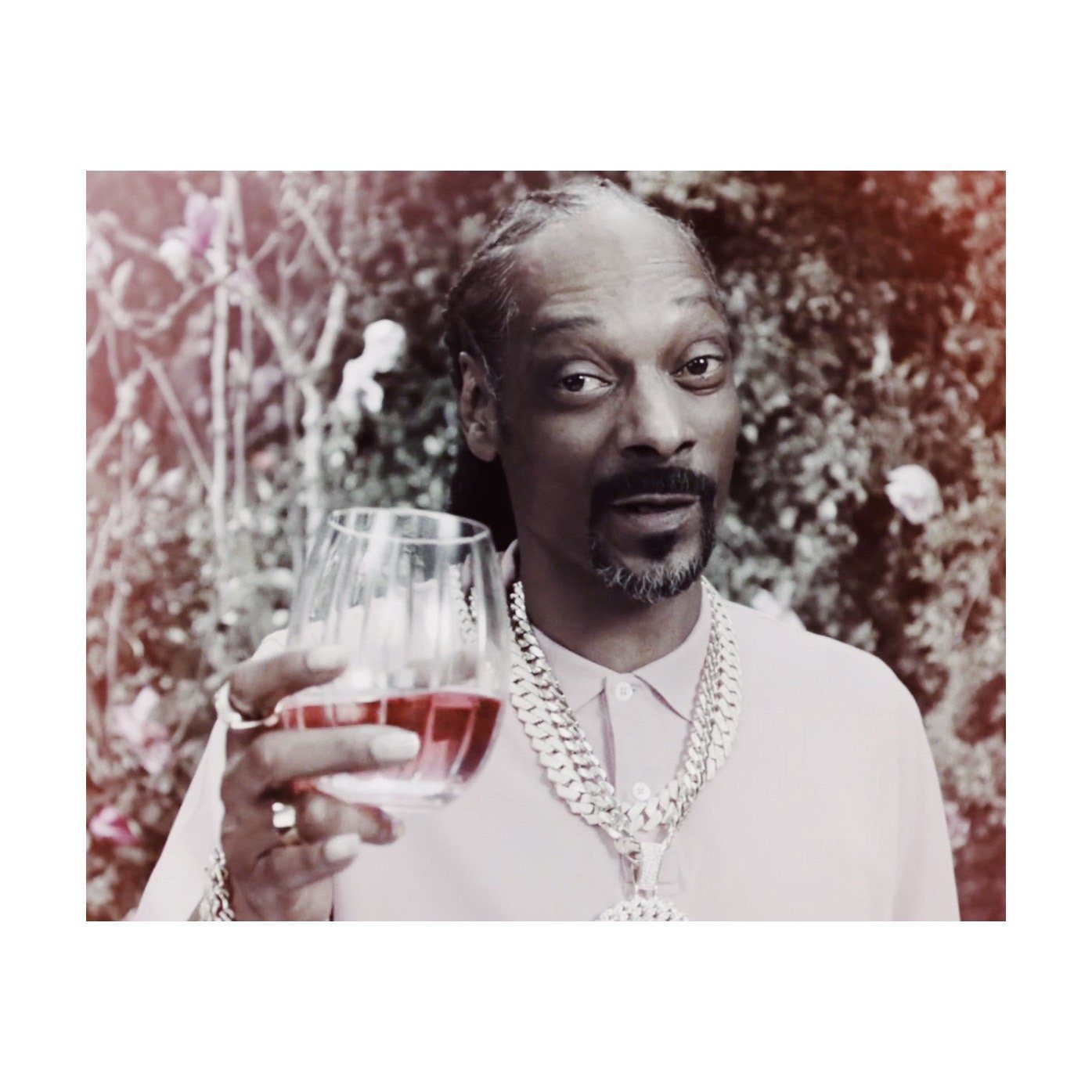 Raised Glass, Snoop Dogg portrait